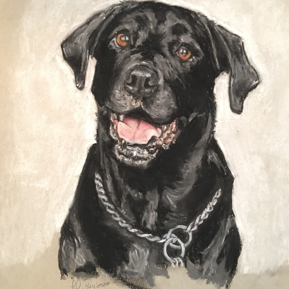 🎉 🎉 HP 🎉 🎉 Custom Commissioned Pet Portraits w/ certificate of authenticity - Picture 4 of 9
